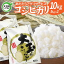 51位! 口コミ数「0件」評価「0」【令和5年度産】【あだたらアグリサービス】 コシヒカリ 10kg【21403】