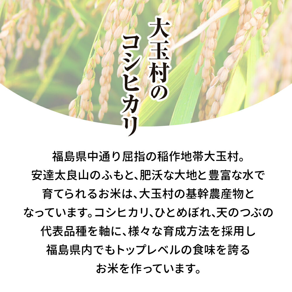 サンプル画像3