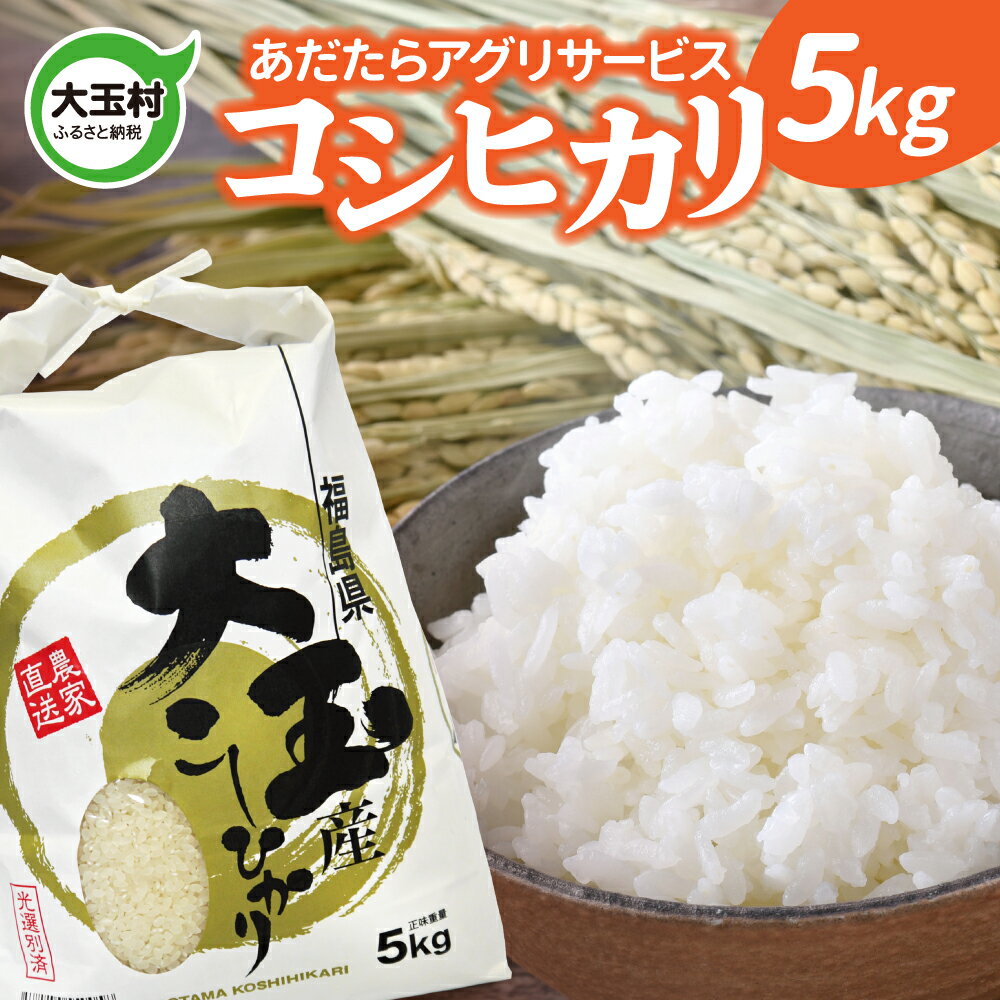 【ふるさと納税】【令和5年度産】【あだたらアグリサービス】 コシヒカリ 5kg【21402】