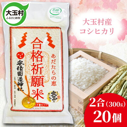 【令和5年産】 合格祈願米 コシヒカリ 真空米 2合 ( 300g )× 20個 受験 御利益 【21016】 ご祈祷 合格 合格祈願