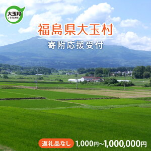 【ふるさと納税】福島 大玉 ふるさと応援寄附 ( 返礼品なし ) 1,000円 〜 1,000,000円 分 応援 寄附 福島県大玉村 お買い物マラソン 1000円 〜 期間 マラソン 3月 ot-hn-1000