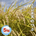 【ふるさと納税】福島県大玉村産天のつぶ5kg...
