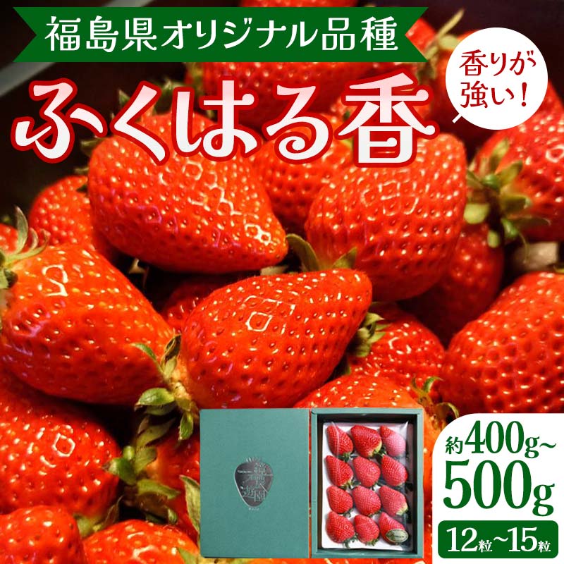 51位! 口コミ数「0件」評価「0」【先行予約】香りが強い！福島県オリジナル品種「ふくはる香」約400g～500g（12粒～15粒） いちご イチゴ 苺 福島県 鏡石町 F6Q･･･ 