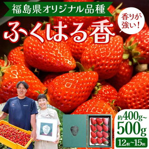【ふるさと納税】【先行予約】香りが強い!福島県オリジナル品種「ふくはる香」約400g~500g(12粒~15粒) いちご イチゴ 苺 福島県 鏡石町 鏡石農遊園 F6Q-074