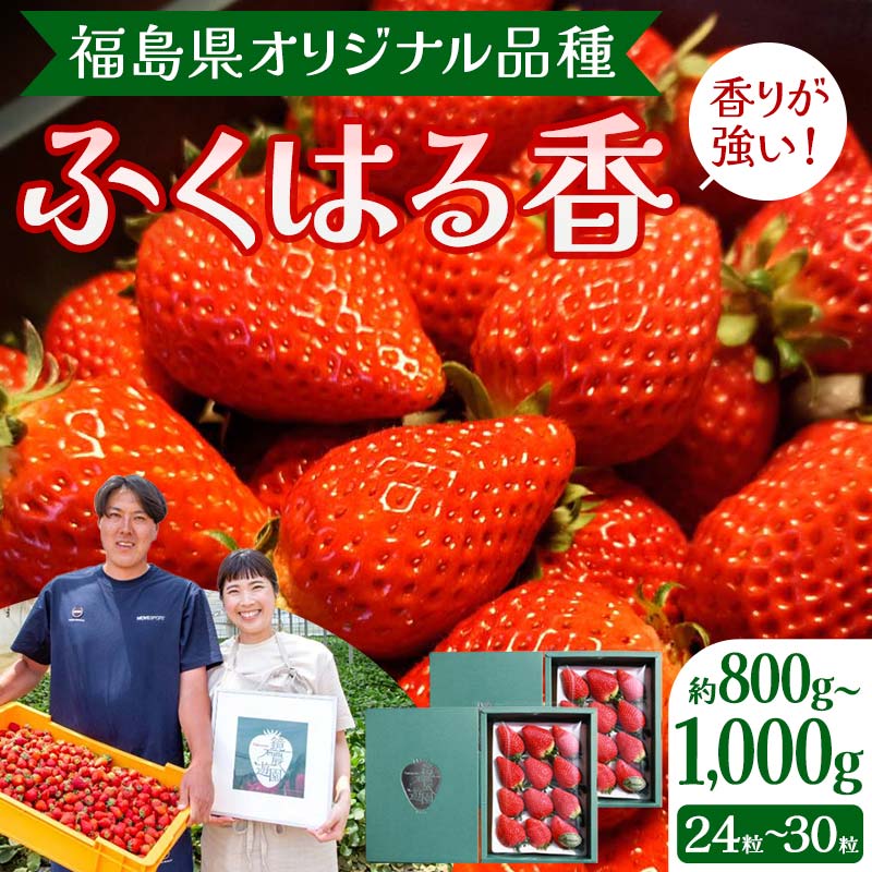 3位! 口コミ数「0件」評価「0」【先行予約】香りが強い！福島県オリジナル品種「ふくはる香」約800g～1000g（24粒～30粒） いちご イチゴ 苺 福島県 鏡石町 F6･･･ 