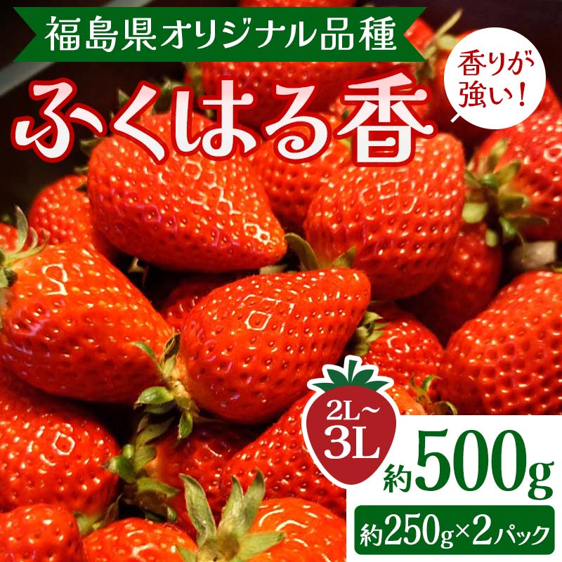 【ふるさと納税】【先行予約】香りが強い 福島県オリジナル品種 ふくはる香 2L～3L 約500g 約250g 2パック いちご イチゴ 苺 福島県 鏡石町 F6Q-076