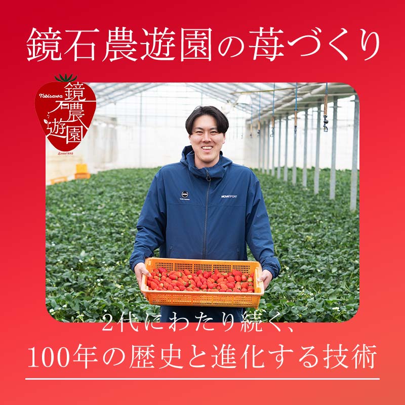 【ふるさと納税】【先行予約】香りが強い！福島県オリジナル品種「ふくはる香」小粒 バラ詰め 約1.5kg（約750g×2パック） いちご イチゴ 苺 福島県 鏡石町 鏡石農遊園 F6Q-079
