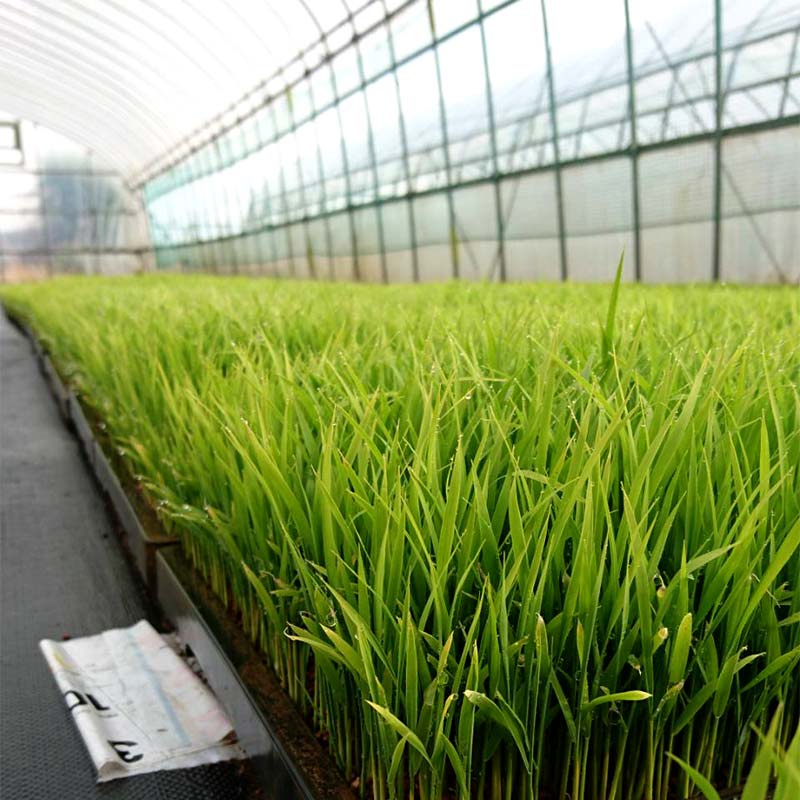 福島県鏡石町の画像3