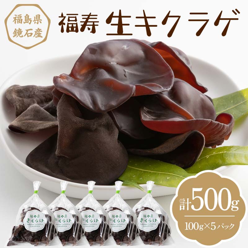 ڤդ뤵Ǽǡʡ饲500g (100g5ѥå) 餲 Τ Υ F6Q-108