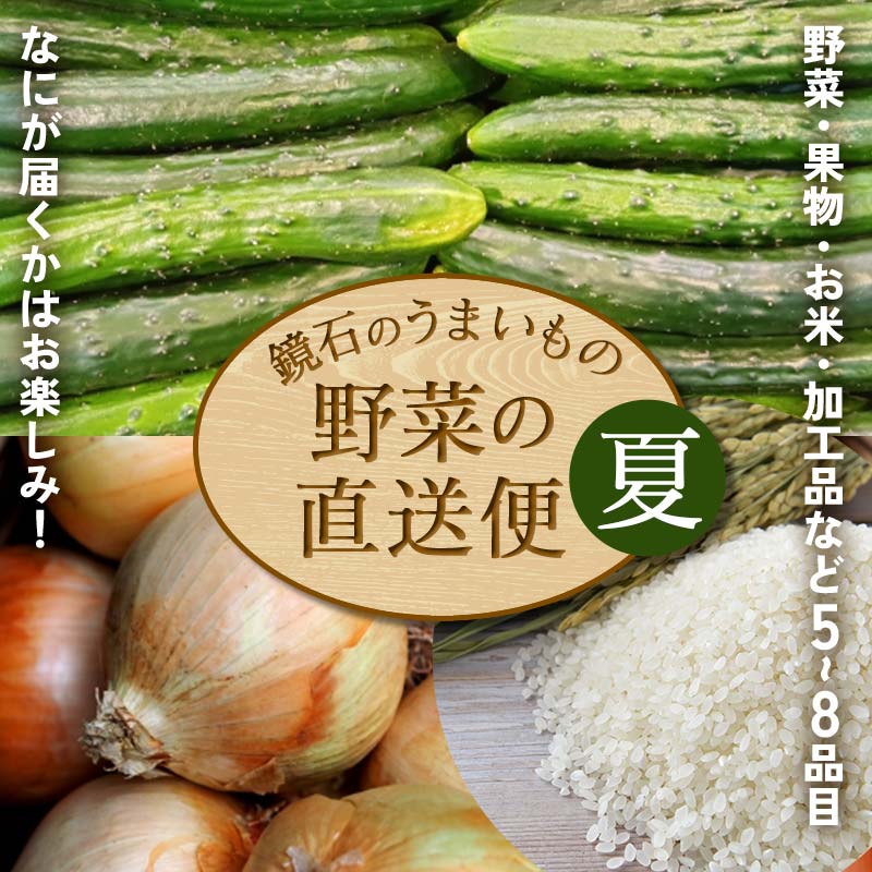 【ふるさと納税】 鏡石のうまいもの野菜の直送便（夏）果物 詰め合わせ つめ合わせ セット 福島県 鏡石町 F6Q-134