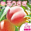 【ふるさと納税】<先行予約> 福島県産 甘くてジューシー 桃 玉うさぎ2kg(7玉~10玉) モモ フルーツ 果物 福島県 鏡石町 F6Q-358