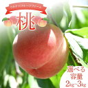 1位! 口コミ数「2件」評価「5」\選べる容量/ ワタナベフルーツファームの桃 約2kg (6玉~7玉)or 約3kg (7玉~11玉) もも モモ フルーツ 果物 F6Q-123var