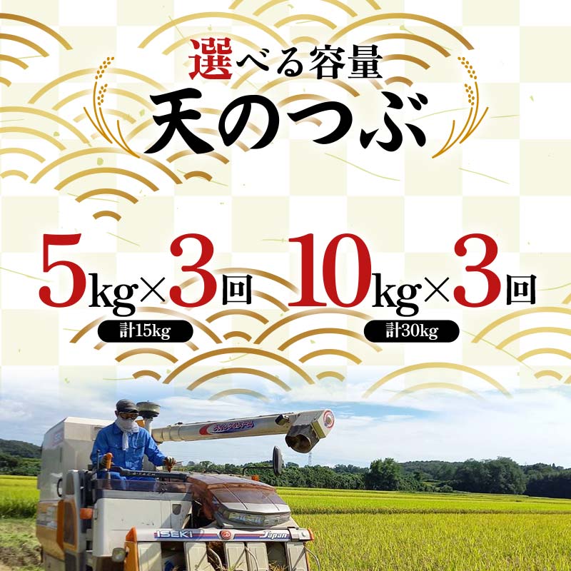 【ふるさと納税】《選べる容量》〈先行予約 2025年産米〉12月から発送【米の定期便】福島県鏡石町産 和田農園「天のつぶ」玄米《15kg 30kg》 3か月連続 F6Q-335var