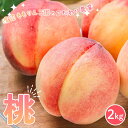 【ふるさと納税】渡辺ももりんご園のこだわり農業 桃 2kg もも モモ 桃 デザート フルーツ 果物 くだもの 果実 食品 F6Q-347