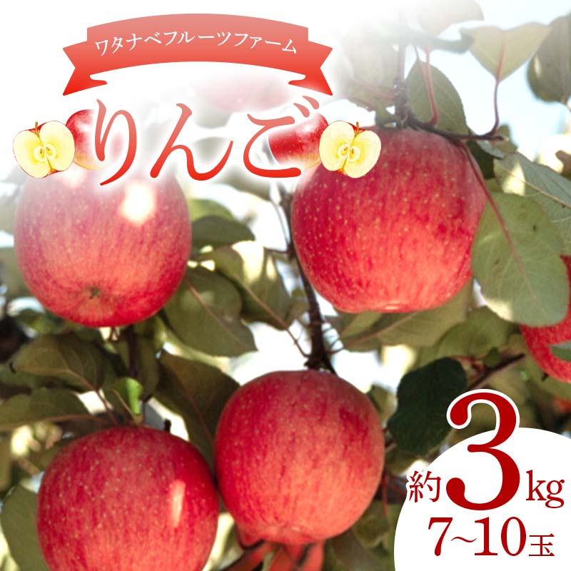 ワタナベフルーツファームのりんご 約3kg(7〜10玉) リンゴ フルーツ 果物 F6Q-385