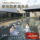 【ふるさと納税】天栄村内宿泊施設宿泊券 6,000円分 温泉 クーポン ホテル ペンション 旅館 F21T-037