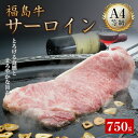 【ふるさと納税】A4等級福島牛サーロイン 750g(250g×3) 牛肉 サーロイン 東北 福島県 F21T-049