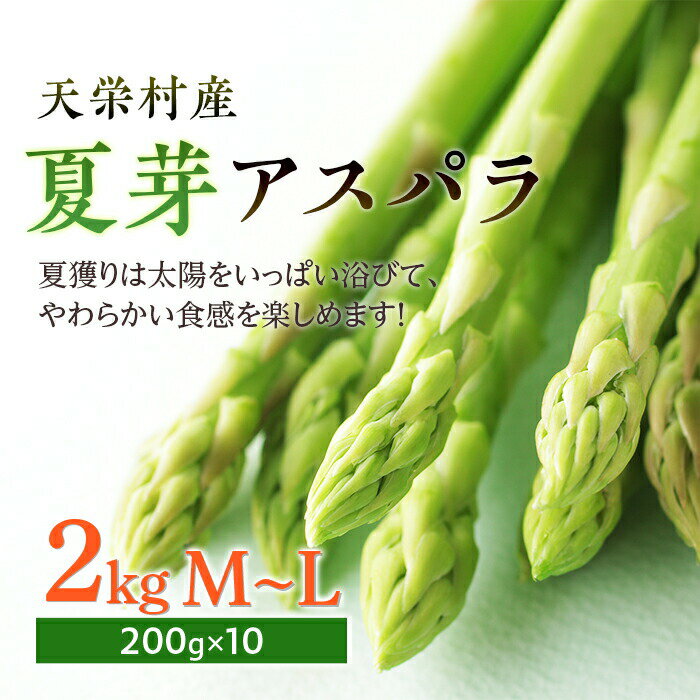 【ふるさと納税】夏芽 アスパラ M〜Lサイズ 2kg アスパラガス 野菜 やさい ≪天栄村産≫ 朝獲り 新鮮 F21T-071