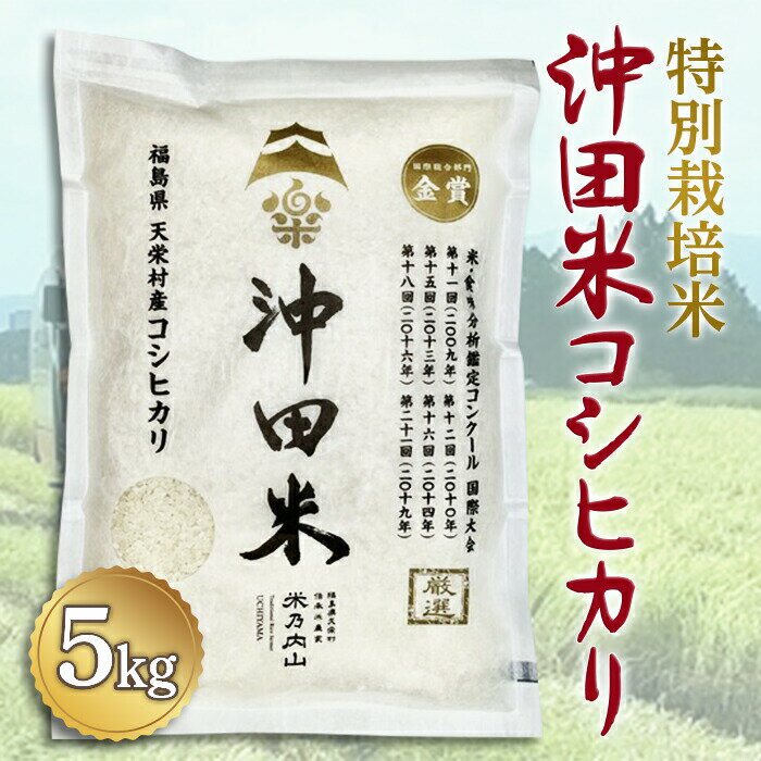 【ふるさと納税】令和5年産米 特別栽培米 沖田米コシヒカリ 5kg F21T-073