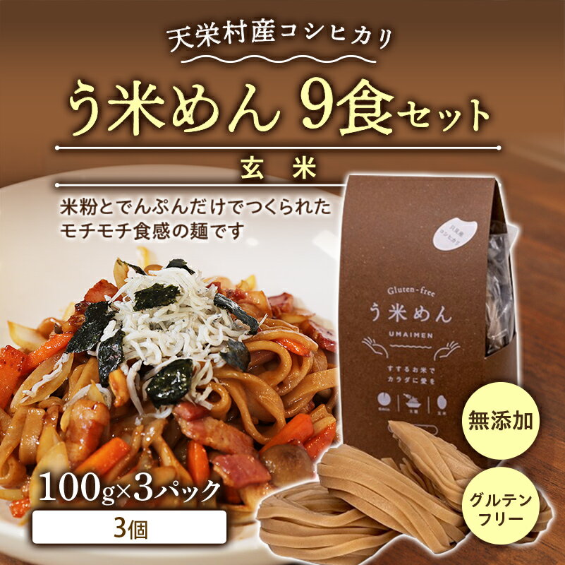 【ふるさと納税】天栄村産コシヒカリ玄米 う米めん 9食セット 無添加 グルテンフリー F21T-074