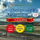 【ふるさと納税】月1回限定開催 ノーザンファーム天栄見学ツアー ペア招待 UMAJO 期間限定 東北 福島県 天栄村 競馬 ノーザン 応援 思い出 記念 F21...
