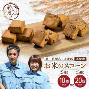 【ふるさと納税】米粉のおやつ グルテンフリーお米のスコーン10個セット/20個セット お菓子 おかし 小麦不使用 乳製品不使用 卵不使用 低糖質 糖質オフ ヘルシー F21T-373var