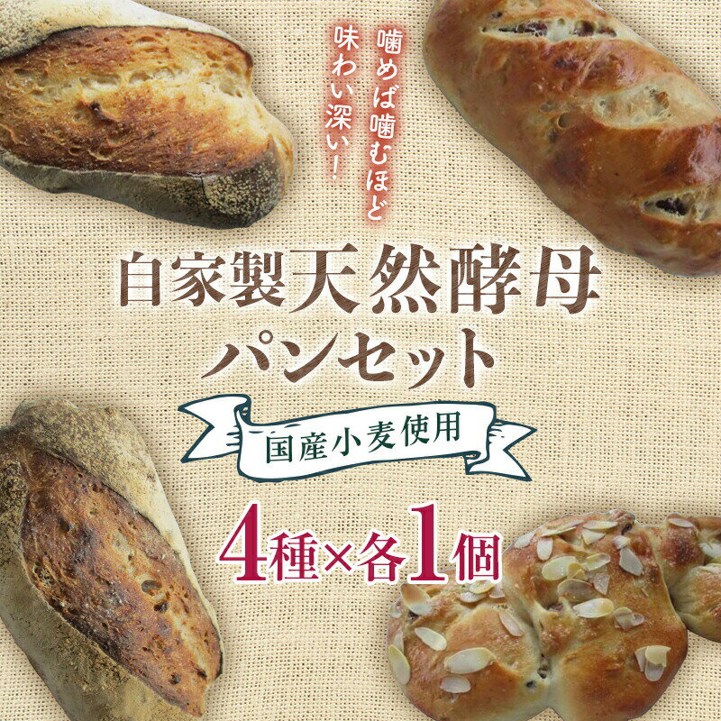 【ふるさと納税】国産小麦使用 自家製天然酵母パンセット F21T-141のサムネイル