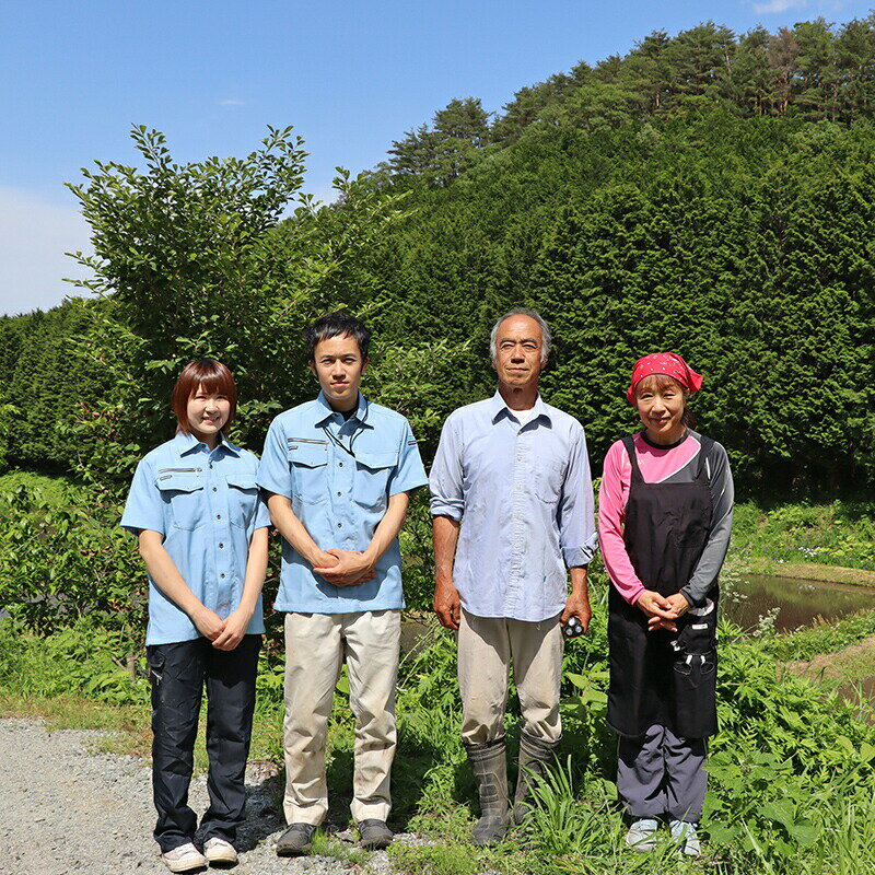 【ふるさと納税】自然農法で育ったお米「ひとめぼれ」精米／玄米 2kg～4kg 天栄村 自然農法 農薬・肥料未使用 F21T-148var