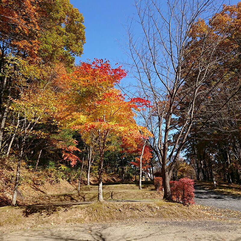 【ふるさと納税】羽鳥湖畔オートキャンプ場で使えるクーポン券（1,500円～30,000円相当） アウトドア レジャー コテージ サイクリング 東北 福島県 天栄村 F21T-164var