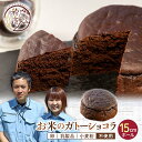 【ふるさと納税】お米のガトーショコラ 15cmホール グルテンフリー ギフト 贈り物 バレンタイン チョコレート プレゼント スイーツ デザート ガトーショコラ F21T-236