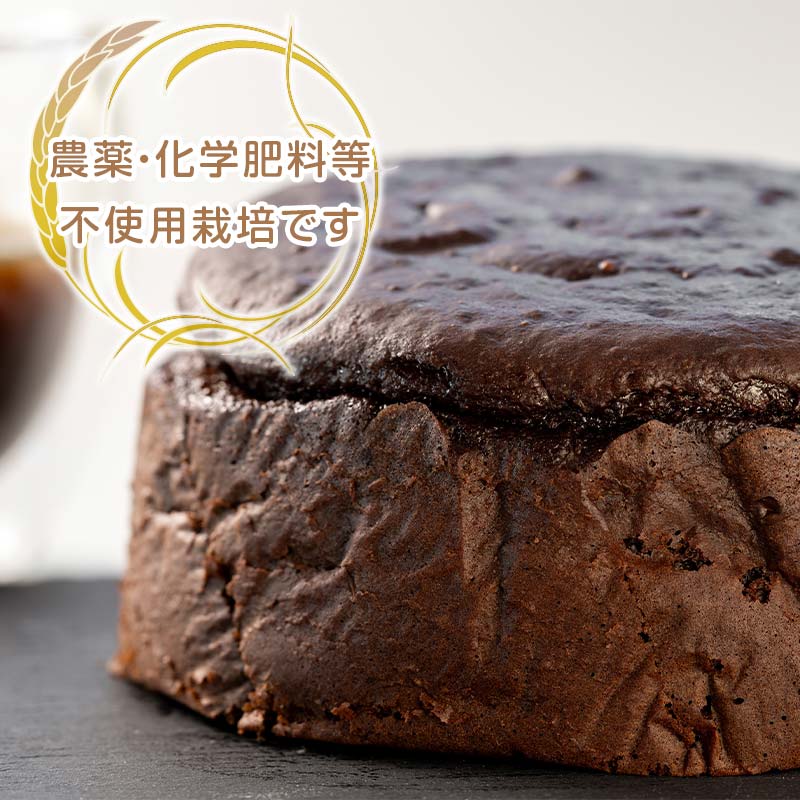 【ふるさと納税】お米のガトーショコラ 15cmホール グルテンフリー ギフト 贈り物 バレンタイン チョコレート プレゼント スイーツ デザート ガトーショコラ F21T-236 3