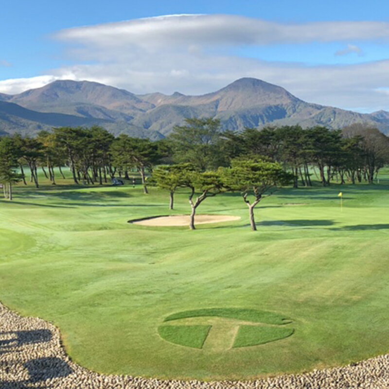 【ふるさと納税】シーズン中いつでも使えるプレー券（2プレー、1泊2食付き）太平洋クラブ白河リゾート ゴルフ ゴルフ場 体験 スポーツ ゴルフ好き 福島県 天栄村 F21T-273