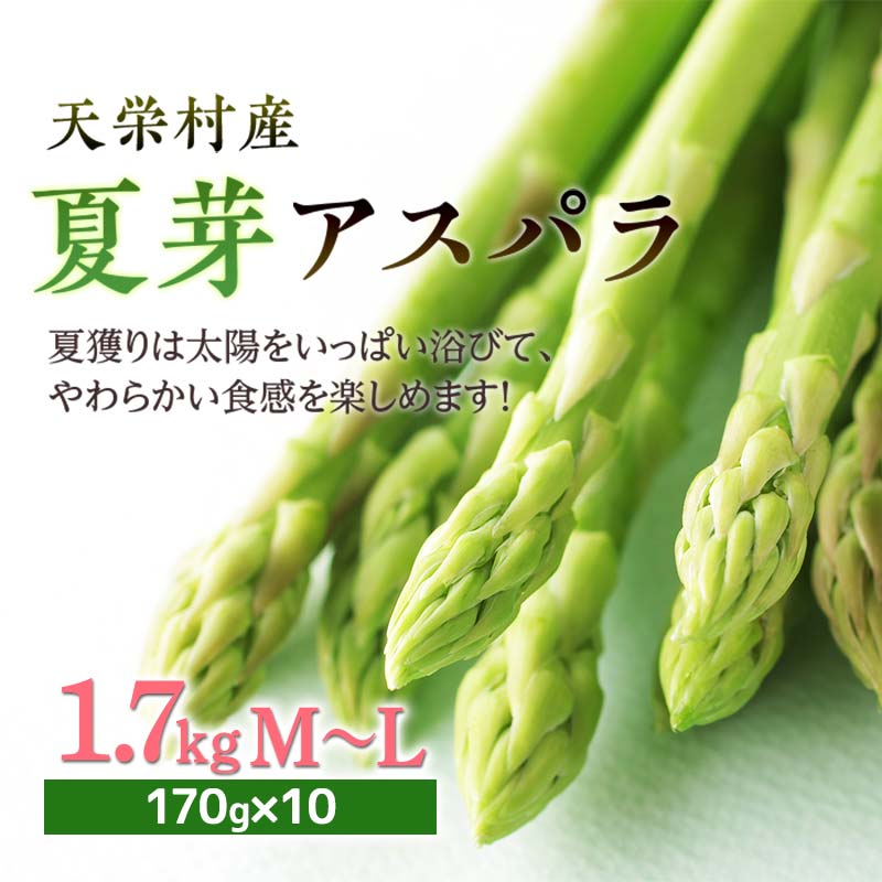 [先行予約] ≪天栄村産≫ 夏芽アスパラM〜Lサイズ 1.7kg アスパラガス 野菜 やさい ≪天栄村産≫ 朝獲り 新鮮 F21T-440