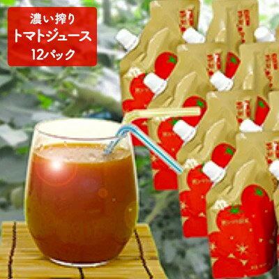 【ふるさと納税】濃い搾り　南郷トマトジュース　12パック　【野菜】
