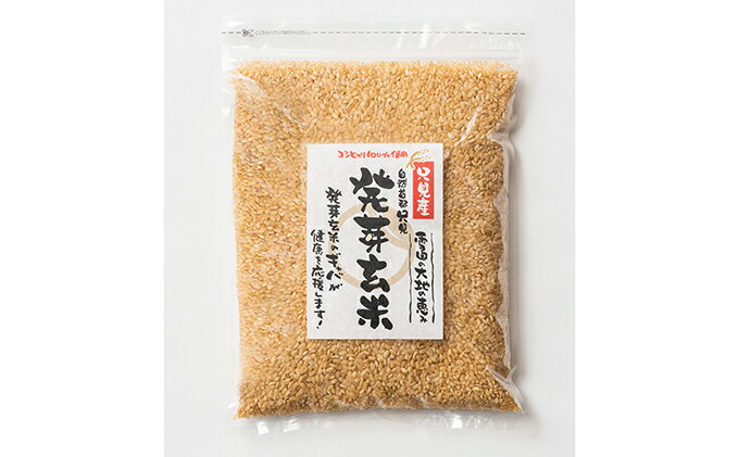 【ふるさと納税】発芽玄米1kg×2個、発芽玄米150g（1合）×2個　【お米・発芽玄米・玄米】