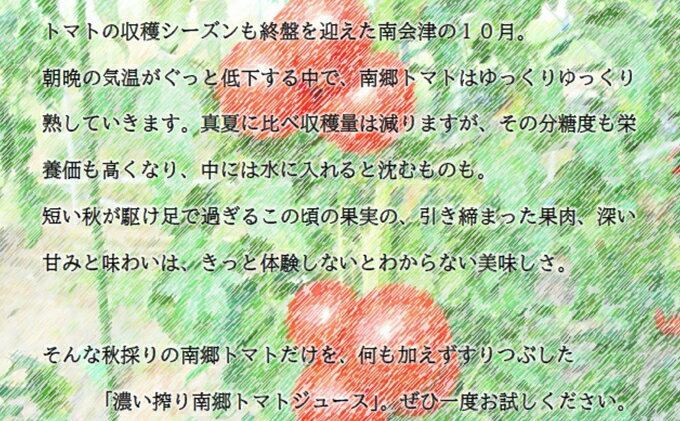 【ふるさと納税】濃い搾り　南郷トマトジュース　6パック 果汁飲料 野菜飲料 ストレート 無添加