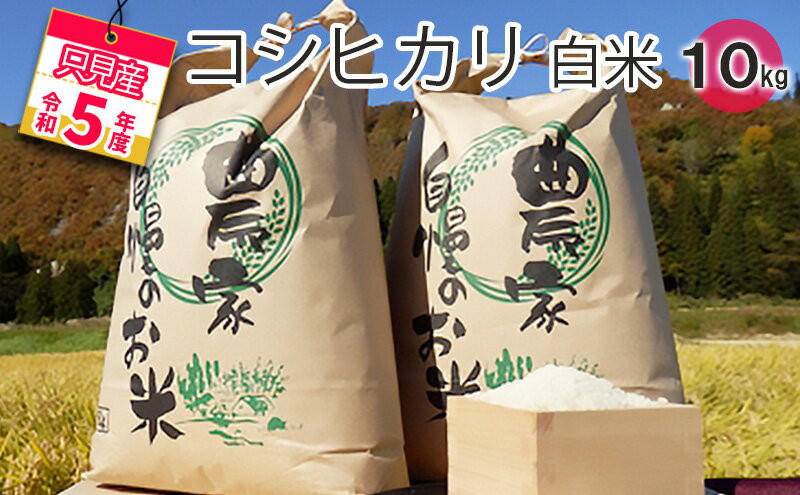 【ふるさと納税】【中野米店】令和5年　只見産　コシヒカリ　白米　10kg　【 お米 ライス ご飯 主食 自然首都 おにぎり お弁当 福島県産 ユネスコエコパーク 精米 】　お届け：2023年10月中旬頃から順次発送予定。