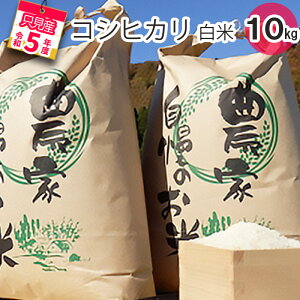 【ふるさと納税】【中野米店】令和5年　只見産　コシヒカリ　白米　10kg　【 お米 ライス ご飯 主食 自然首都 おにぎり お弁当 福島県産 ユネスコエコパーク 精米 】　お届け：2023年10月中旬頃から順次発送予定。