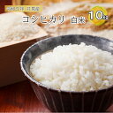 人気ランキング第29位「福島県只見町」口コミ数「0件」評価「0」【伊南川農園】令和5年　只見産　コシヒカリ　白米　10kg　【 お米 ライス ご飯 主食 おにぎり お弁当 福島県産 精米 食卓 】　お届け：2023年10月中旬頃から順次発送予定