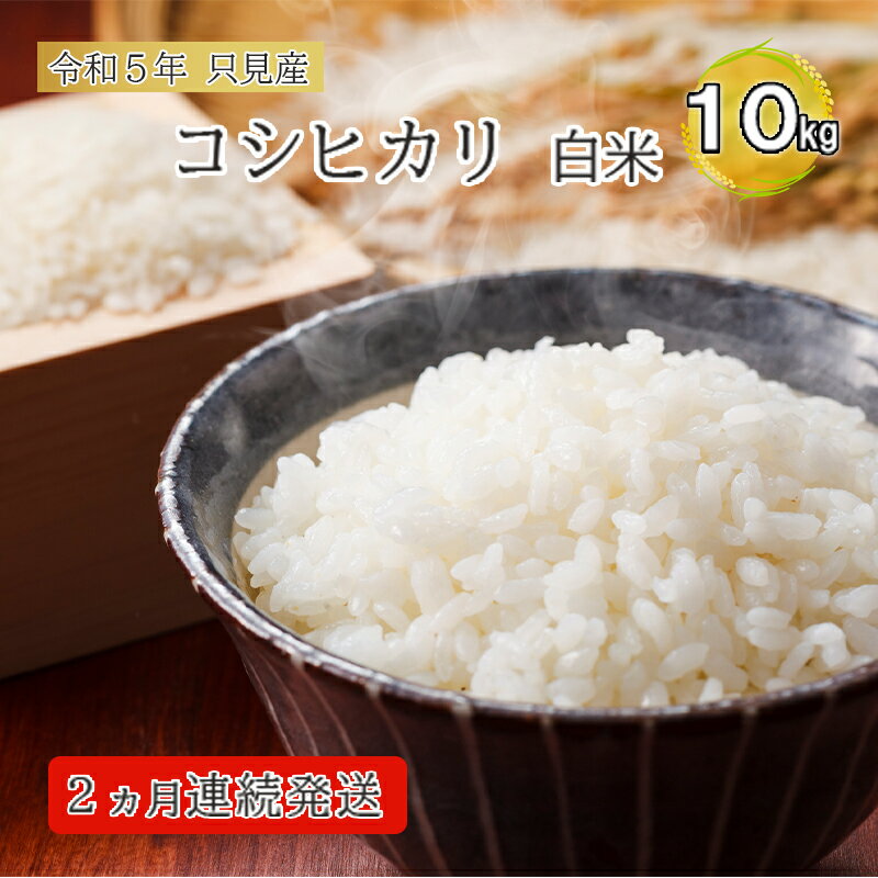 41位! 口コミ数「0件」評価「0」【伊南川農園】令和5年　只見産　コシヒカリ　白米　10kg　2ヵ月連続発送（合計20kg）　【定期便・ お米 ライス ご飯 主食 おにぎり ･･･ 