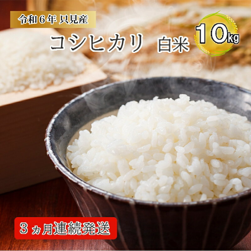 【ふるさと納税】【伊南川農園】令和4年只見産コシヒカリ白米10kg3ヵ月連続発送(合計30kg)【定期便・お米ライスご飯主食おにぎりお弁当福島県産精米食卓3回お届け】お届け:2022年10月中旬頃から順次発送予定。