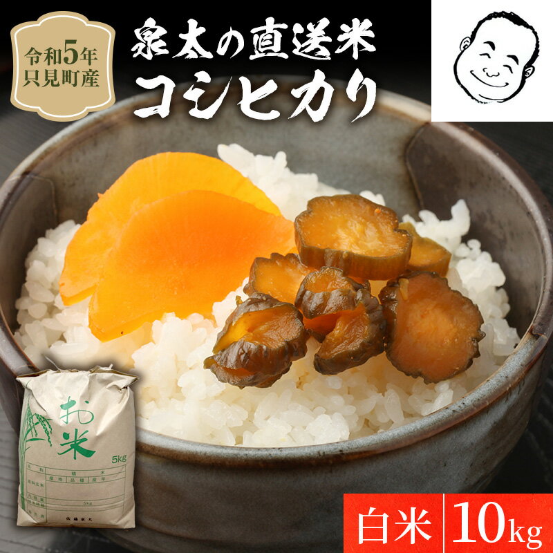 35位! 口コミ数「0件」評価「0」【泉太の直送米】令和4年　只見産　コシヒカリ　白米　10kg　【お米 大自然 浅草岳】　お届け：2023年11月上旬頃から順次発送予定