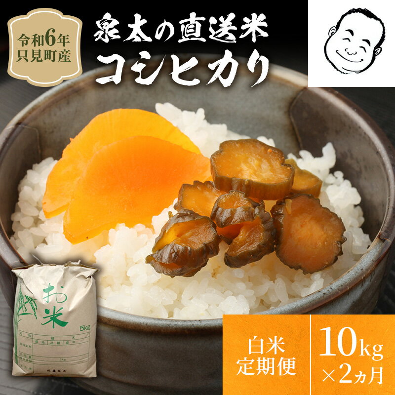【ふるさと納税】【泉太の直送米】令和4年只見産コシヒカリ白米10kg2ヵ月連続発送(合計20kg)【定期便・お米大自然浅草岳】お届け:2022年10月下旬頃から順次発送予定。