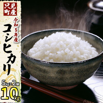 【ふるさと納税】令和5年産 只見町産コシヒカリ 10kg（5kg×2袋）　【 米 コシヒカリ 只見町 精米 国産 ごはん おにぎり 美味しい 只見米 特別栽培米 】　お届け：2023年11月上旬より順次配送