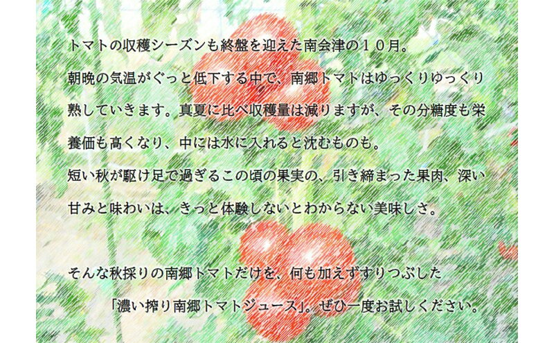 【ふるさと納税】3ヶ月定期便 濃い搾り 南郷トマトジュース 計36パック 12パック×3ヶ月 果汁飲料 野菜飲料 ストレート 無添加 野菜 トマト とまと