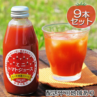 【ふるさと納税】南会津産100％ミニトマトジュース200ml×9本セット　【果汁飲料・野菜飲料・トマトジュース・野菜・ミニトマト・ミニトマトジュース】