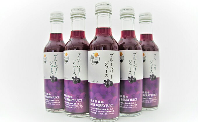 【ふるさと納税】南会津町産　無農薬ブルーベリージュース　200ml×5本入　【果汁飲料・野菜飲料・ブルーベリージュース・ジュース・無農薬】