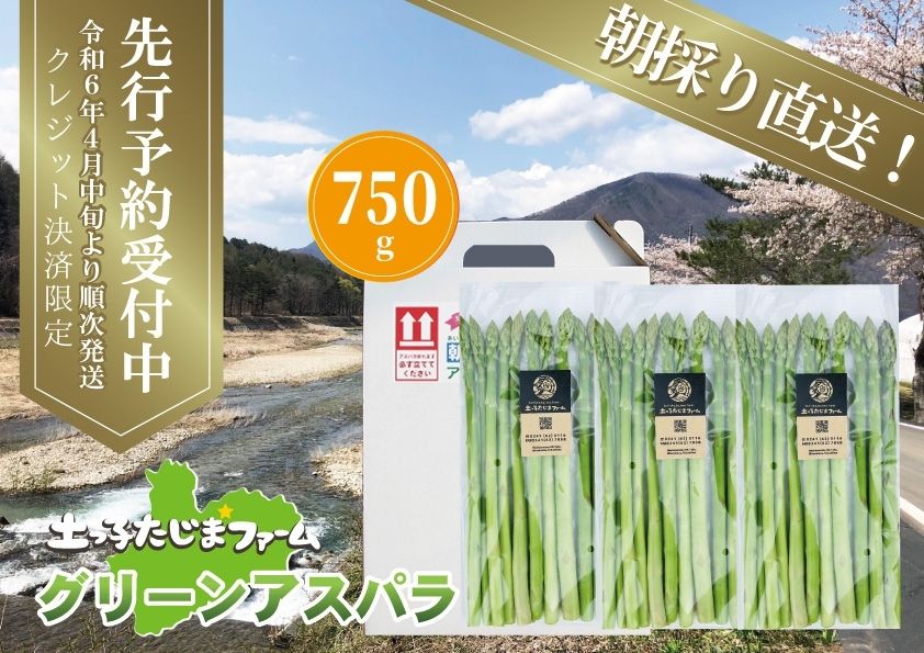 【ふるさと納税】【先行予約】農家直送！南会津町産朝採り春アスパラ（グリーン）750g(250g入×3袋入) 野菜 春野菜 朝採り野菜 柔らかい みずみずしい グリーンアスパラ 　お届け：2026年5月10日まで