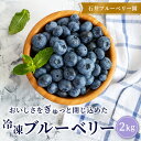 【ふるさと納税】冷凍ブルーベリー2kg(石井ブルーベリー園) 【ふるさと納税 人気 おすすめ ランキング ブルーベリー 冷凍ブルーベリー フルーツ 果物 冷凍 ジャム ジュース 福島県 北塩原村 送料無料】 KBI002