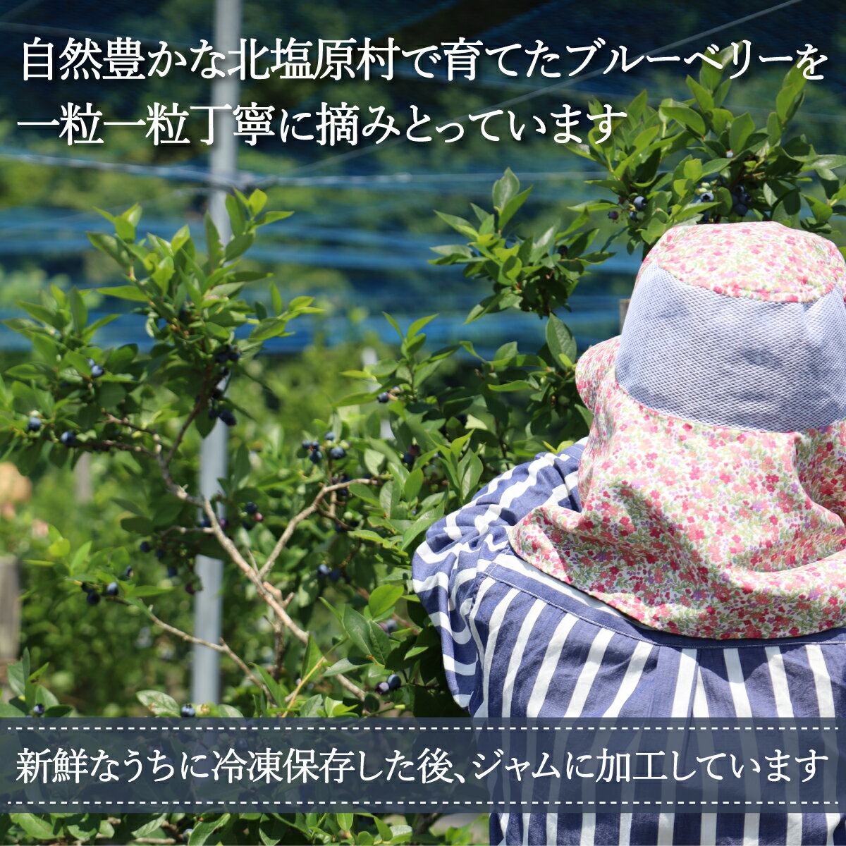 福島県北塩原村の画像2